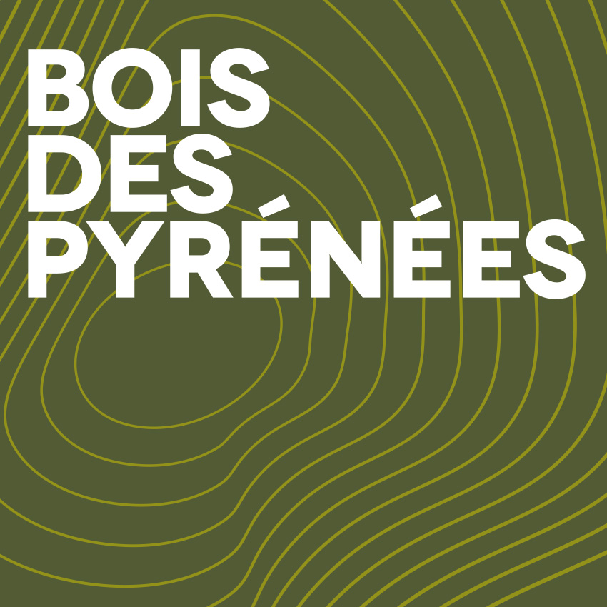 Bois des Pyrénées